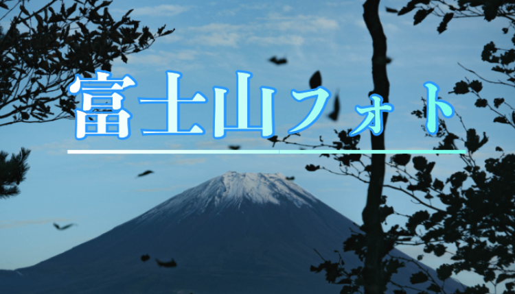 cook 今日なに作ろ？